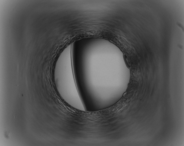 X0000092330817200709141116