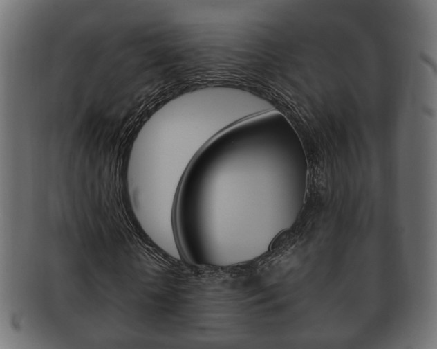 X0000092330818200709141116