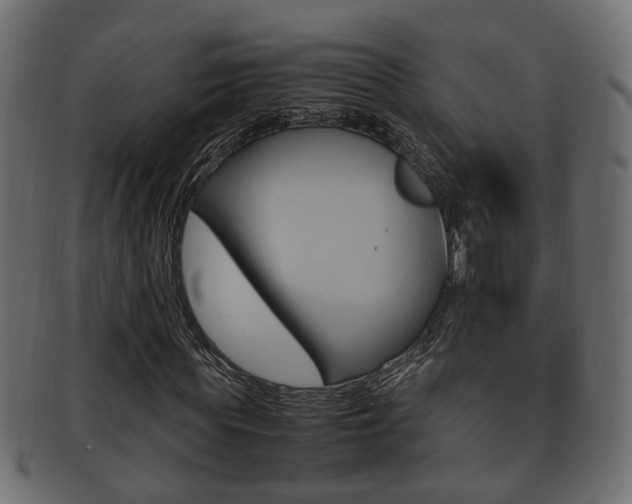 X0000092330819200709141116