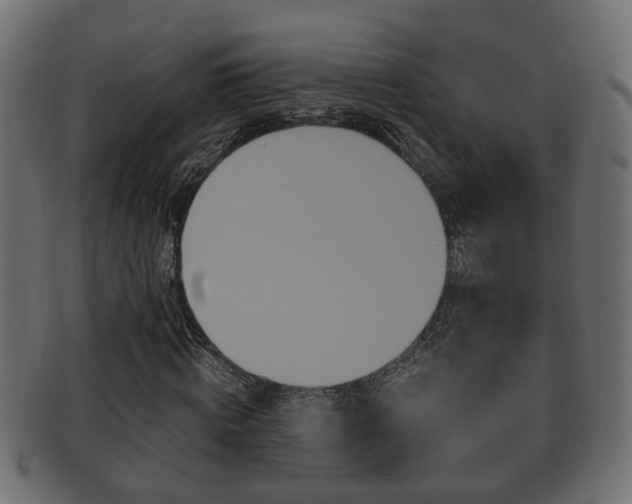 X0000092330820200709141116