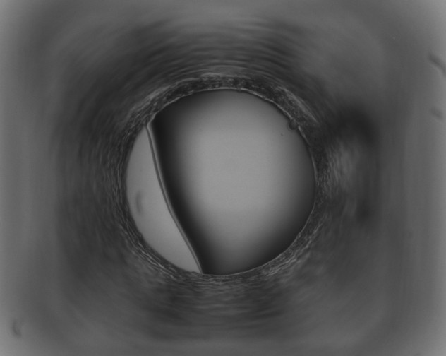 X0000092330821200709141116