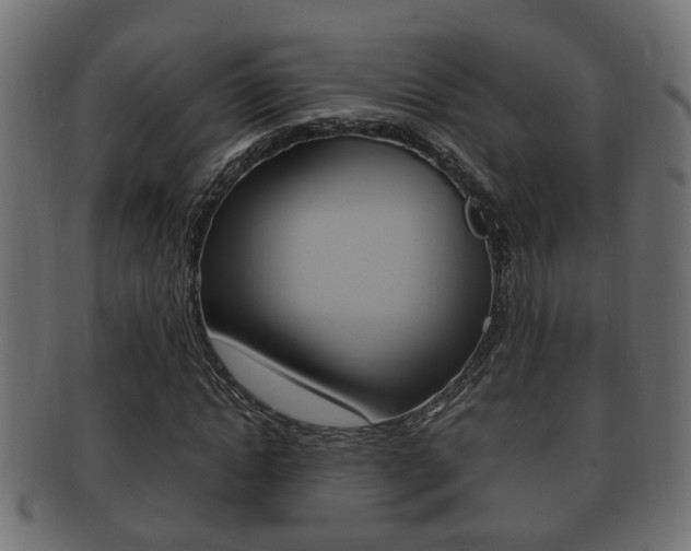 X0000092330822200709141116