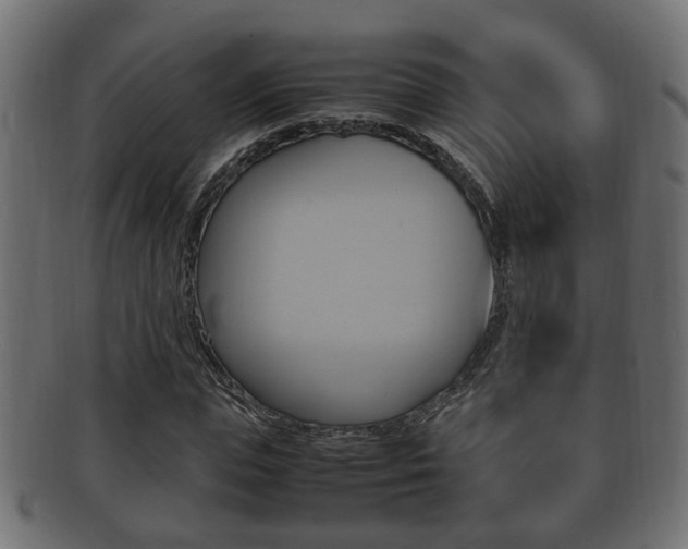X0000092330823200709141116