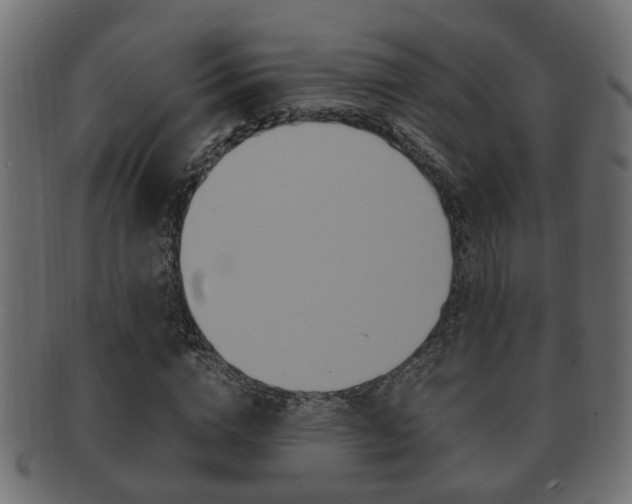 X0000092330824200709141116