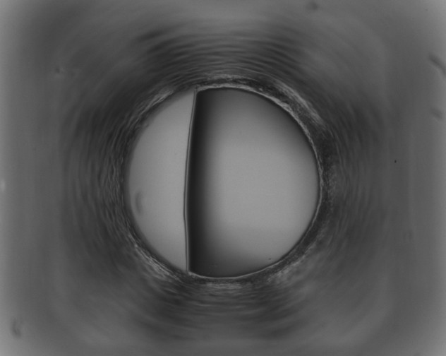 X0000092330825200709141116