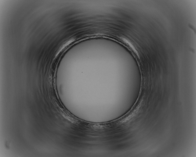 X0000092330827200709141116