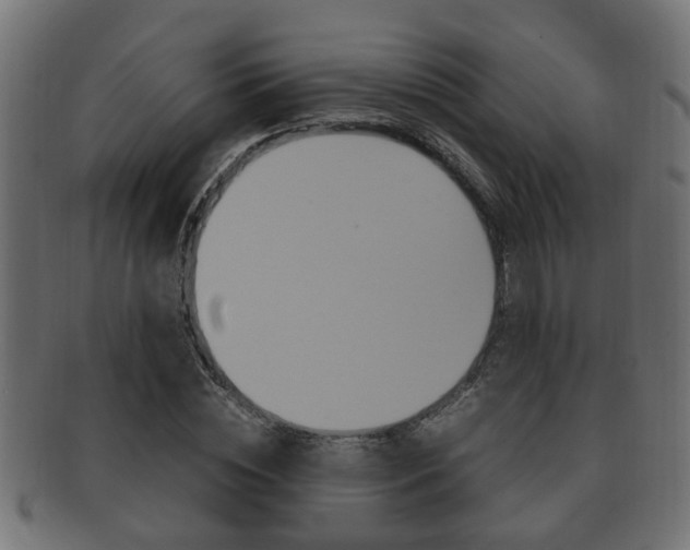 X0000092330828200709141116