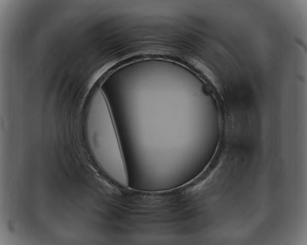 X0000092330829200709141116