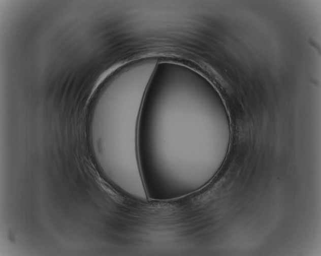 X0000092330830200709141116