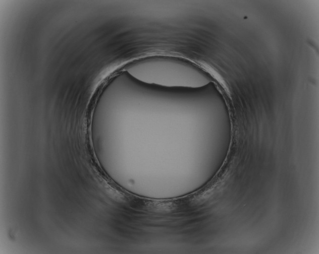 X0000092330831200709141116