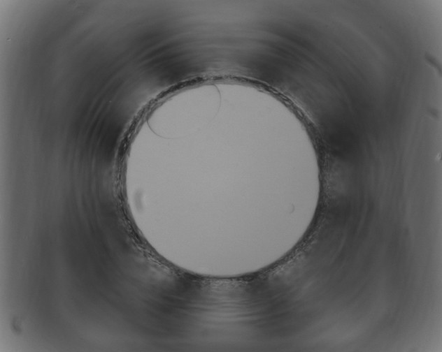 X0000092330832200709141116