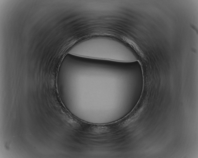 X0000092330833200709141116