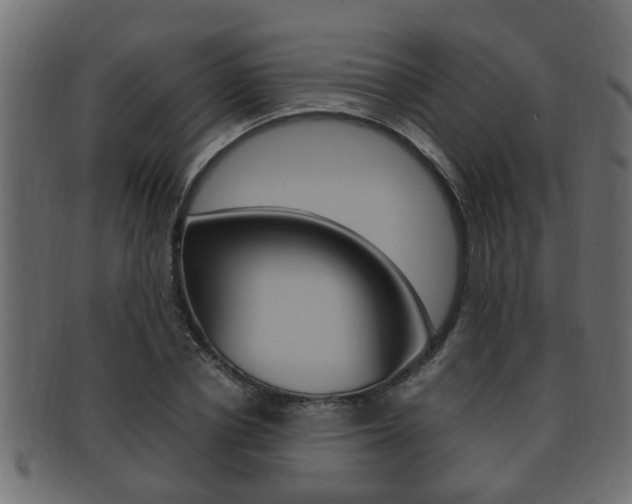 X0000092330834200709141116