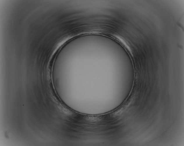 X0000092330835200709141116