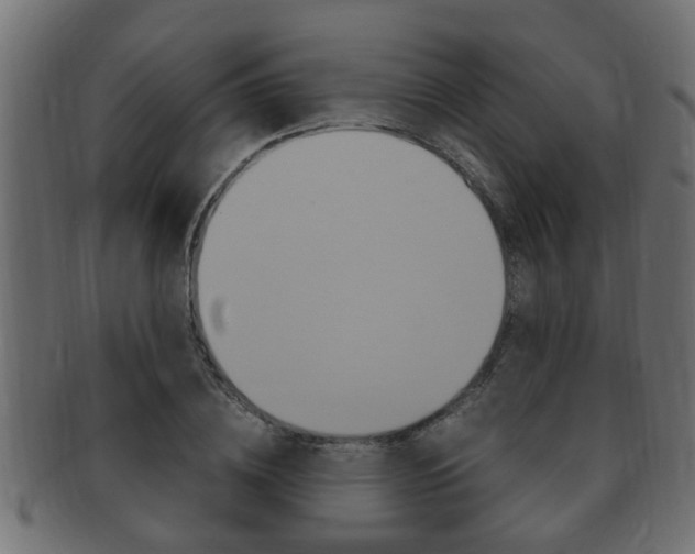 X0000092330836200709141116