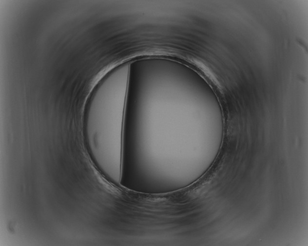 X0000092330837200709141116