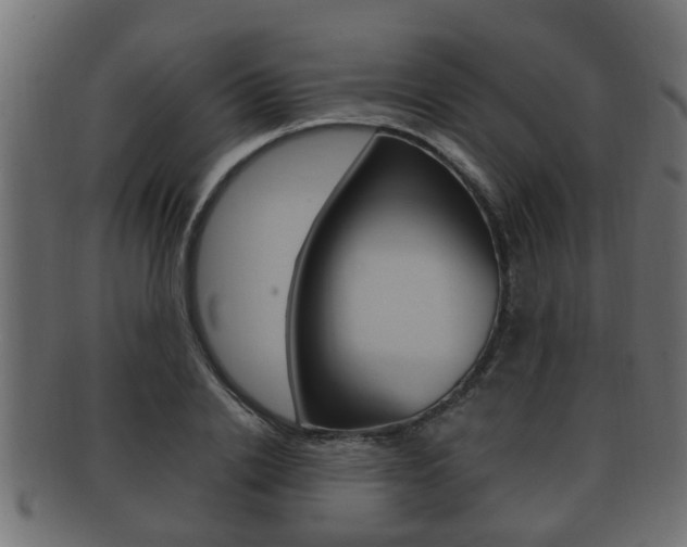 X0000092330838200709141116