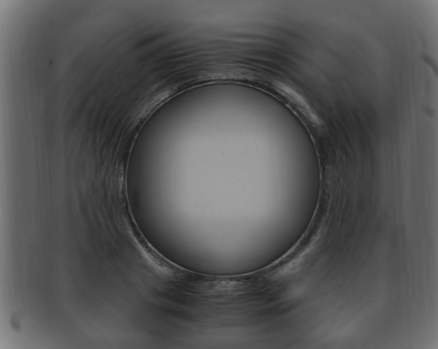 X0000092330841200709141116