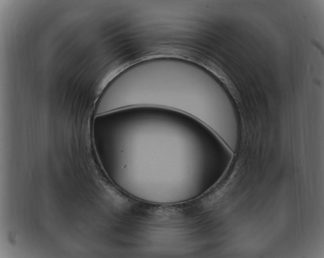 X0000092330842200709141116