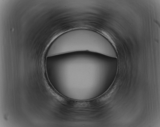 X0000092330843200709141116