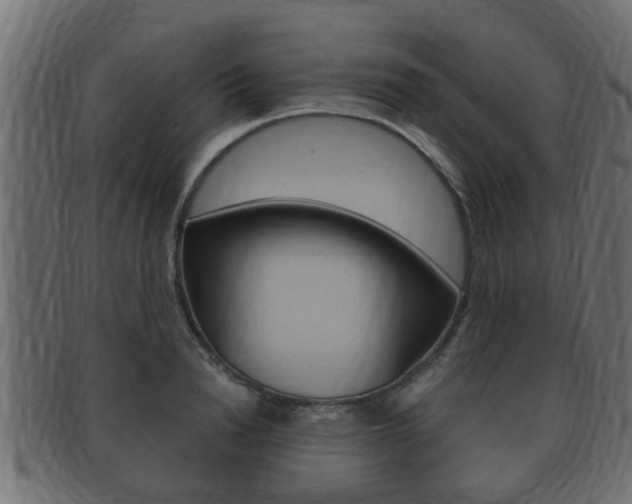 X0000092330846200709141116