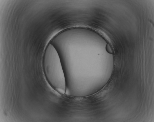X0000092330847200709141116