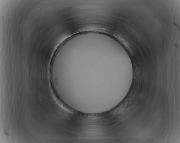 X0000092330848200709141116
