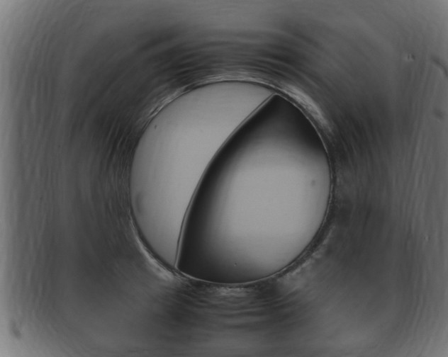 X0000092330849200709141116