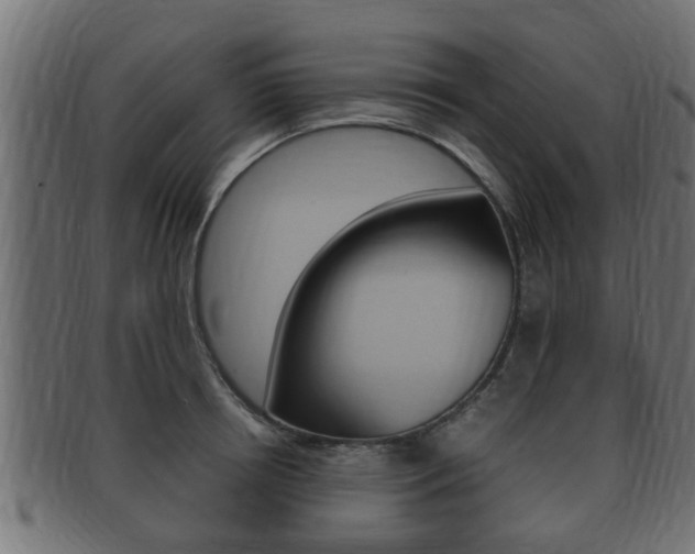 X0000092330850200709141116