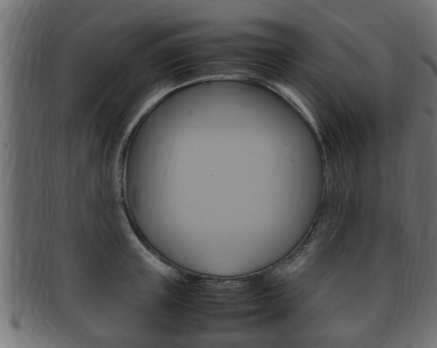 X0000092330851200709141116