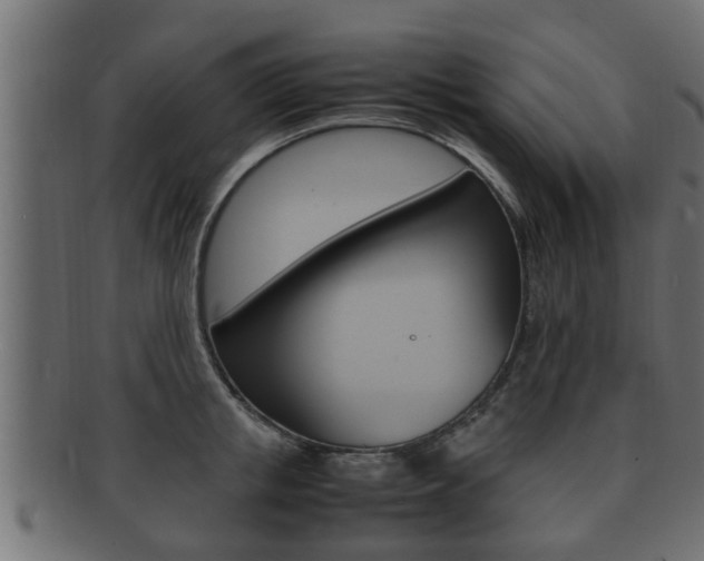 X0000092330853200709141116