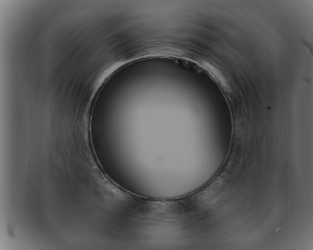 X0000092330854200709141116