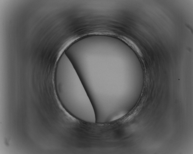 X0000092330855200709141116