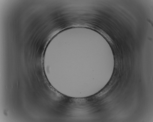 X0000092330856200709141116