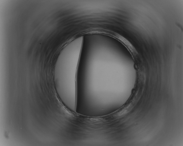 X0000092330857200709141116