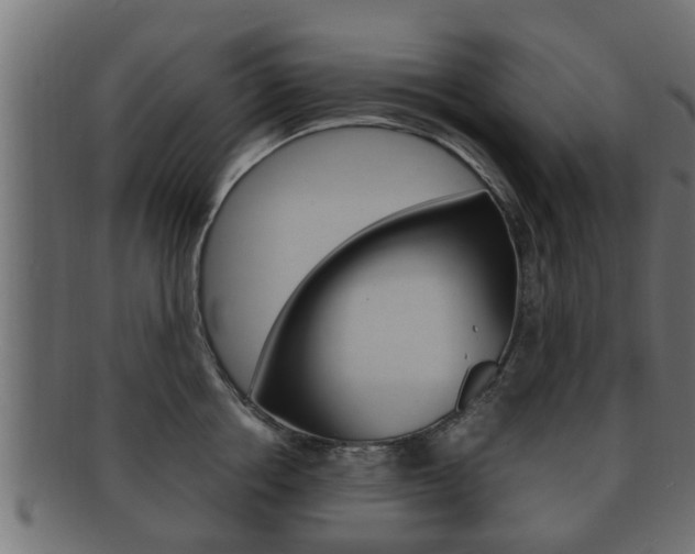 X0000092330858200709141116