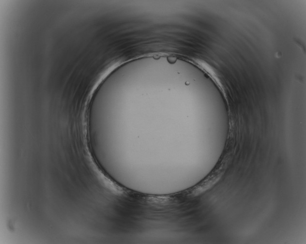 X0000092330859200709141116