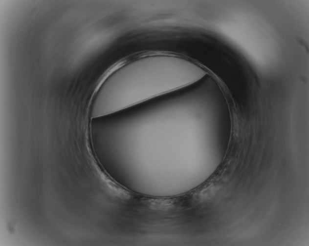 X0000092330861200709141116