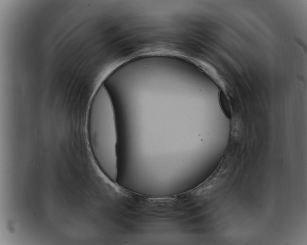 X0000092330863200709141116