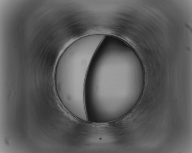 X0000092330864200709141116