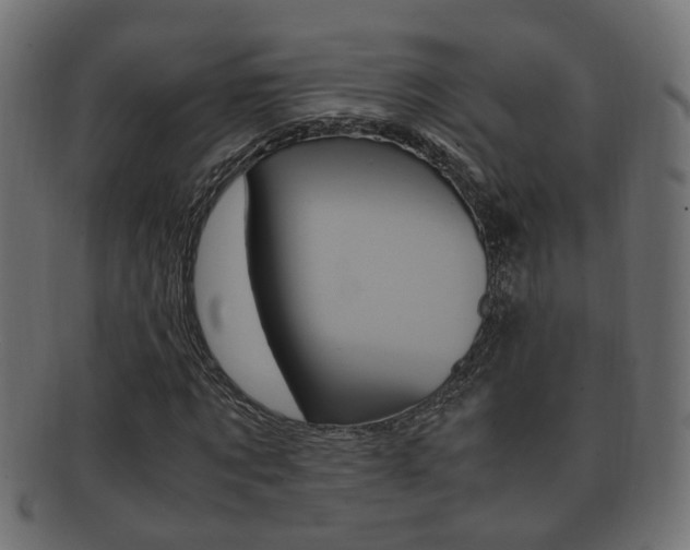 X0000092330869200709141115