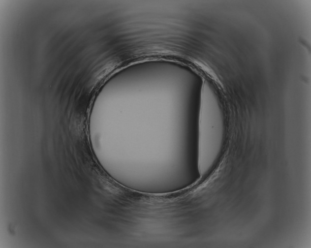 X0000092330873200709141115