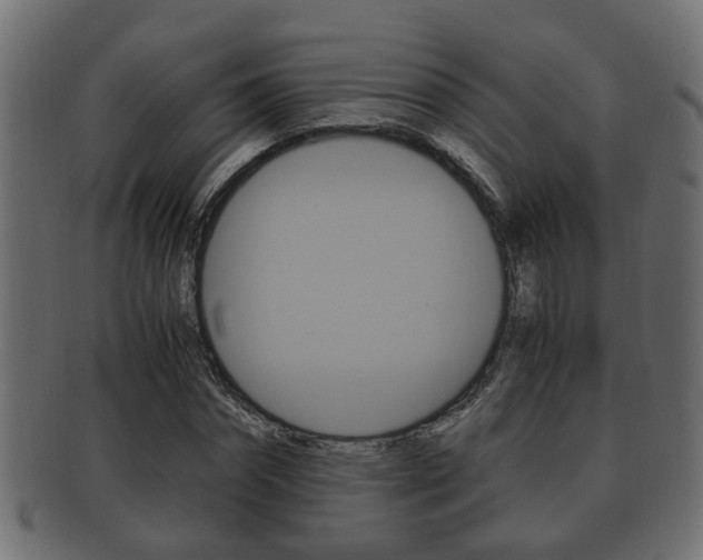 X0000092330874200709141115