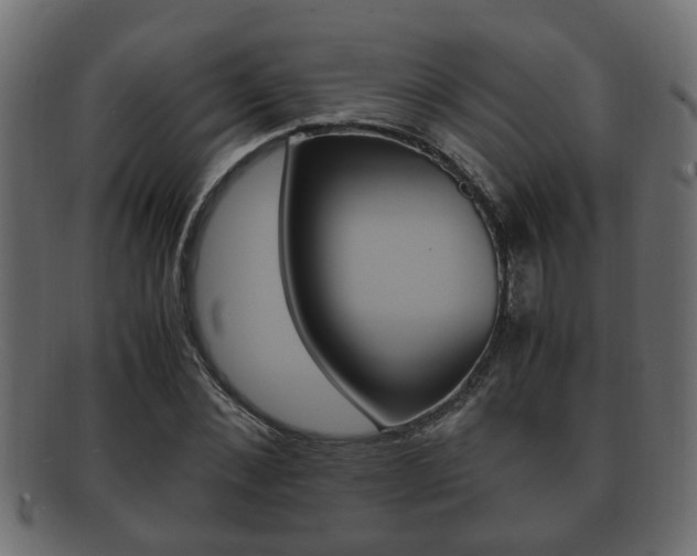 X0000092330876200709141115