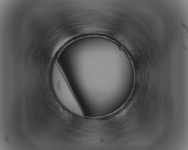 X0000092330877200709141115