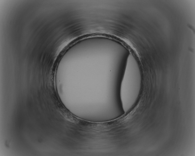 X0000092330879200709141115