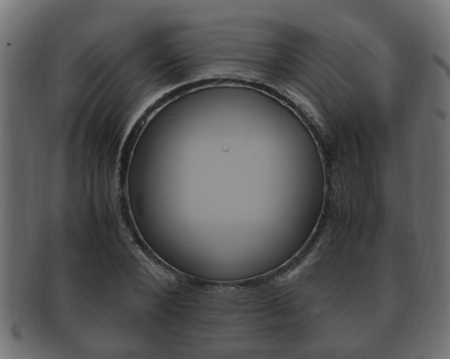 X0000092330880200709141115