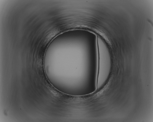 X0000092330881200709141115
