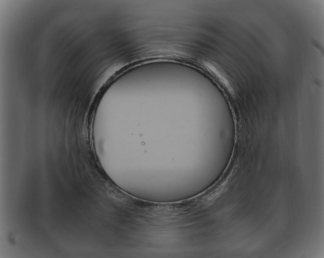 X0000092330883200709141115