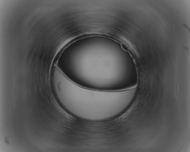 X0000092330884200709141115